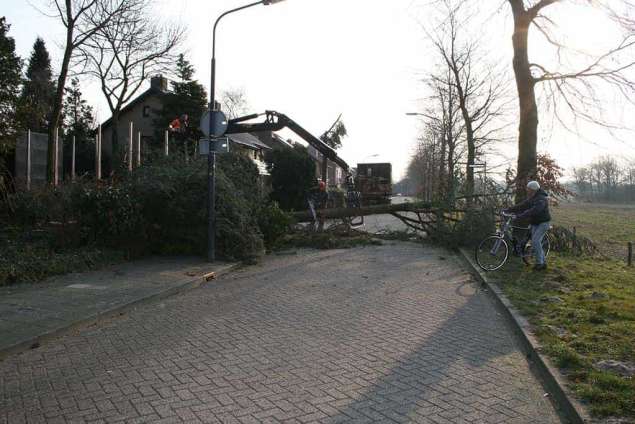 Schin op Geul boomstronk verwijderen